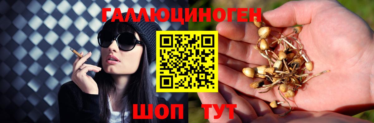Галлюциногенные грибы мицелий  Вход с VPN  Балашиха  Псилоцибиновые грибы мицелий 